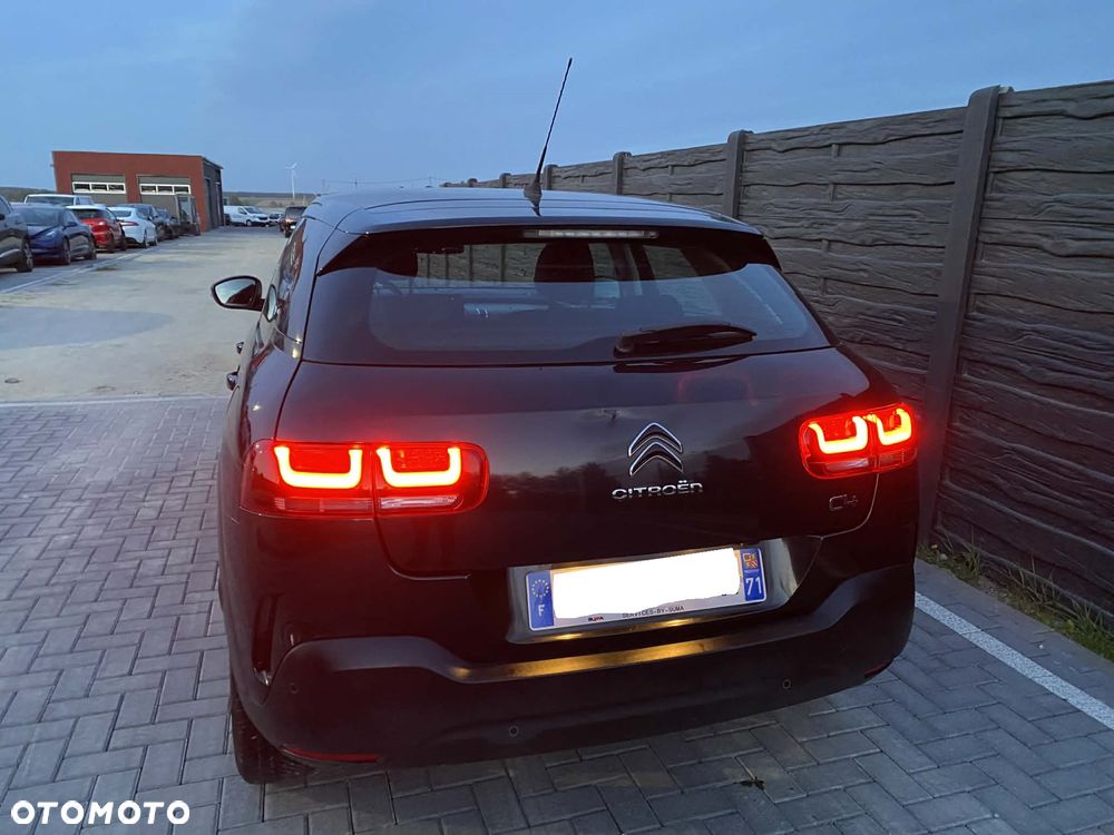 Citroën C4 Cactus PureTech 110 Stop&Start Live - 31