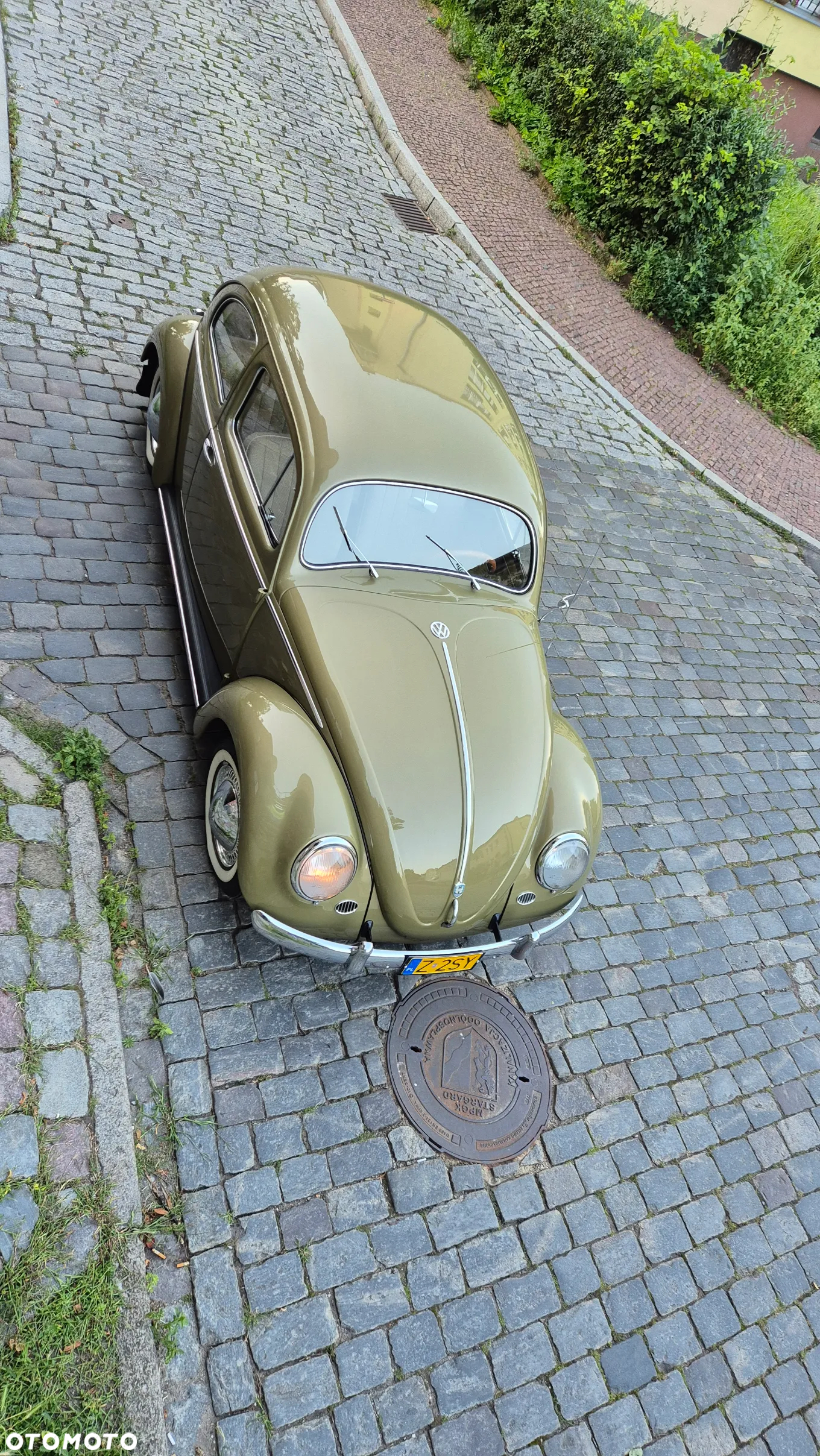 Volkswagen Garbus - 3