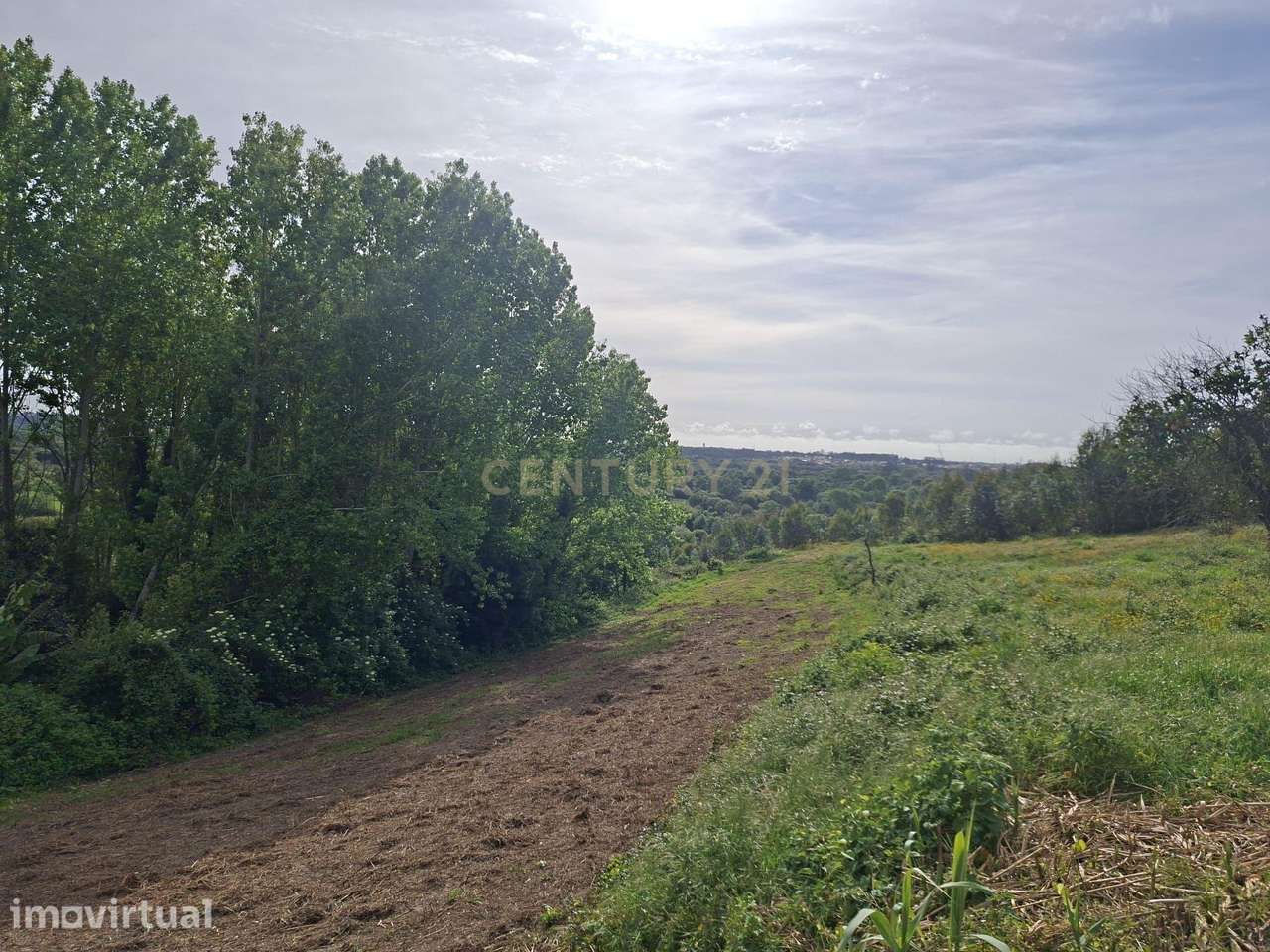 Terreno em Angeja, Albergaria a Velha - Grande imagem: 2/8