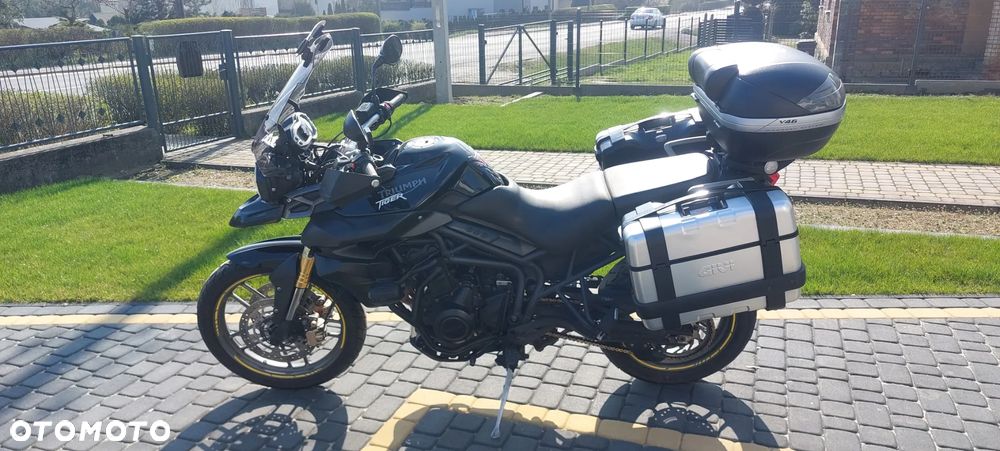 Triumph Tiger - 1
