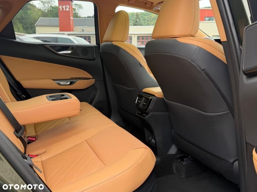 Lexus NX - 15