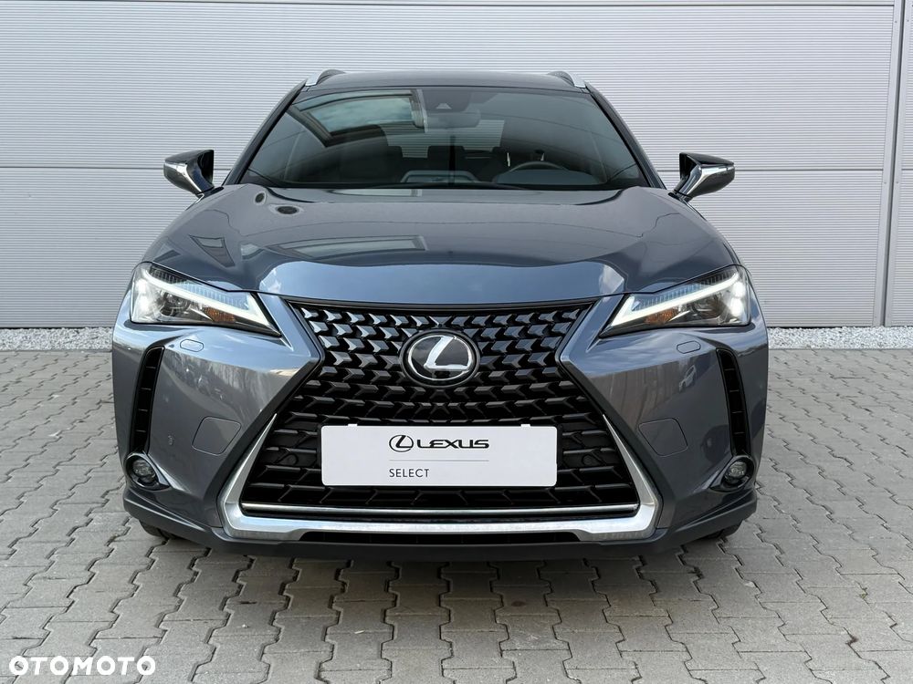 Lexus UX 250h GPF Business 2WD - 12