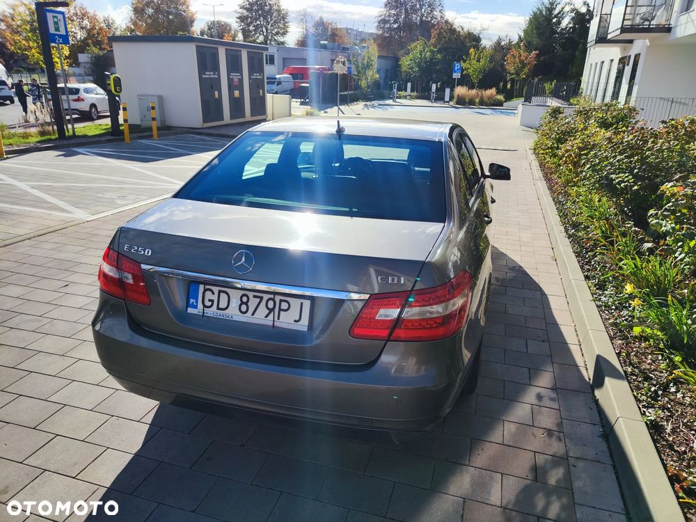 Mercedes-Benz Klasa E 250 CDI DPF BlueEFFICIENCY Automatik Elegance - 5