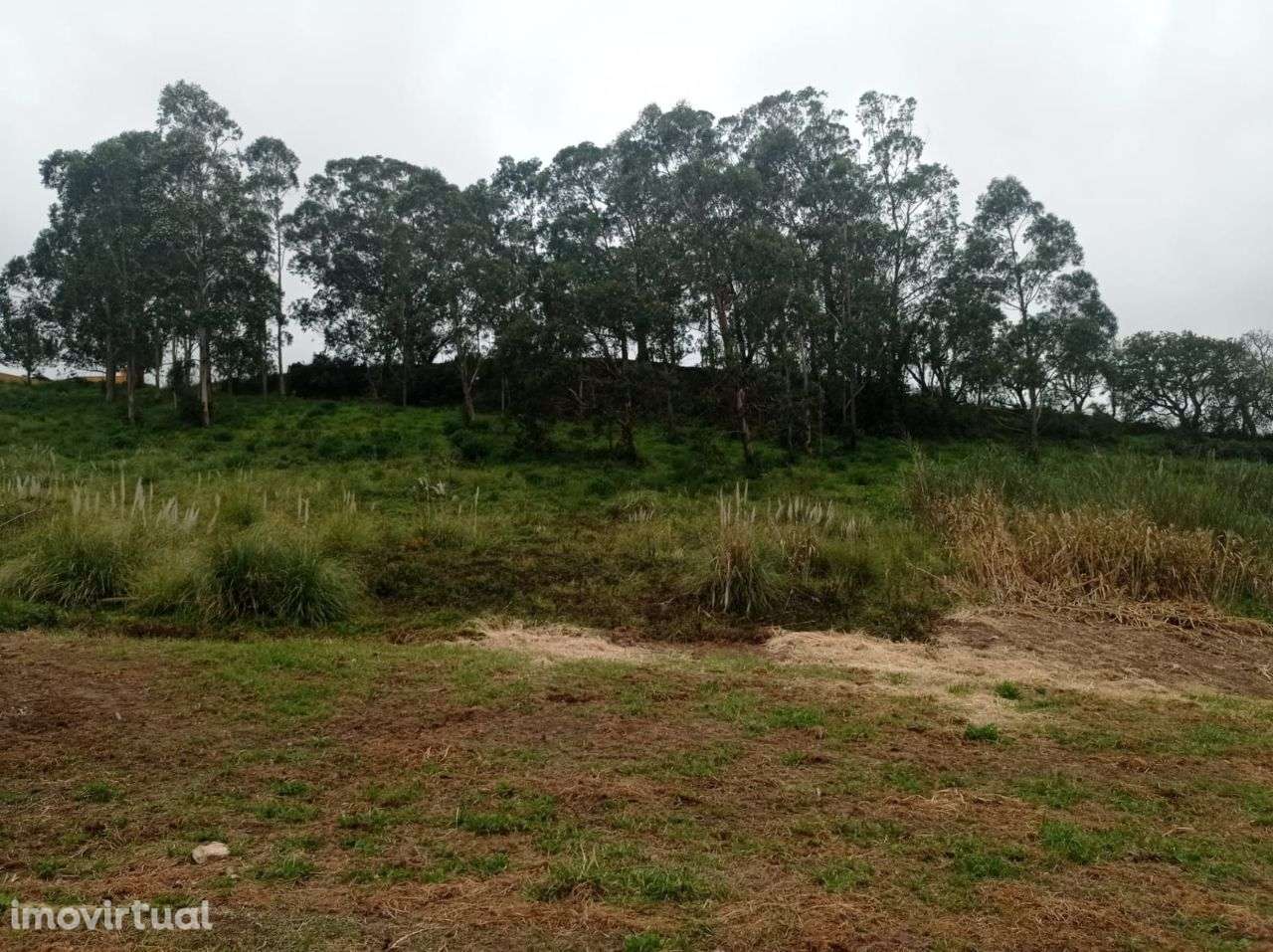 Terreno à venda em Quinta do Fez - Grande imagem: 5/7