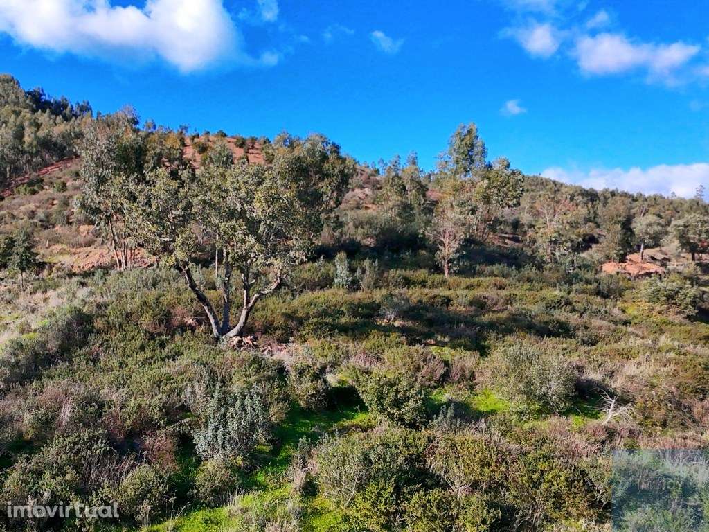 Terreno misto com ruína em Alferce, Monchique - Grande imagem: 4/20
