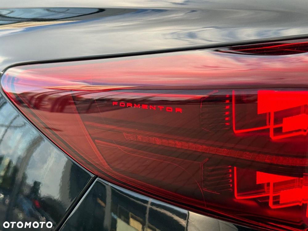 Cupra Formentor 2.0 TSI 4Drive DSG - 13