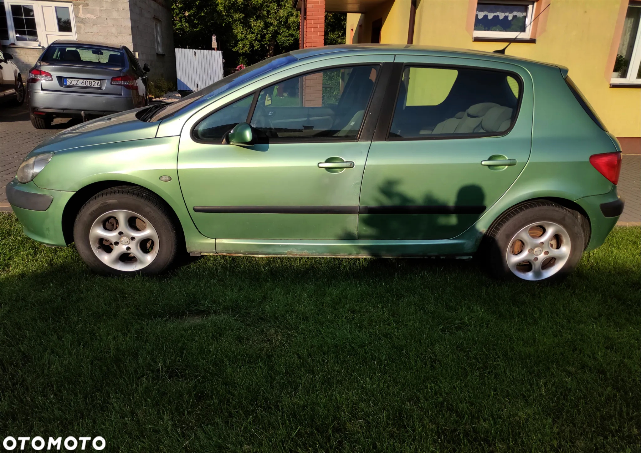 Peugeot 307 - 6