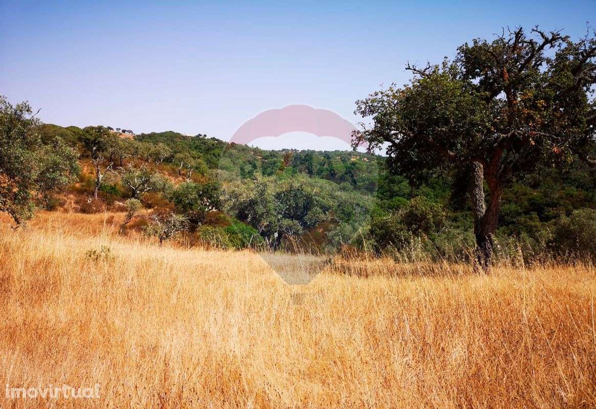 Terreno T0 para venda - Grande imagem: 5/26