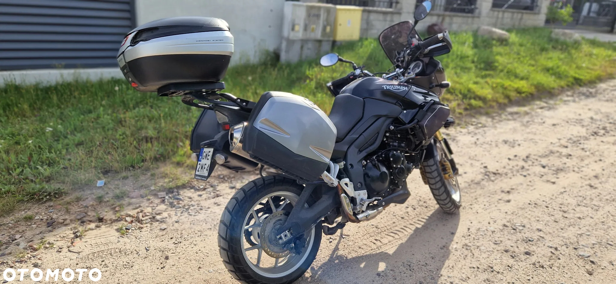 Triumph Tiger - 3