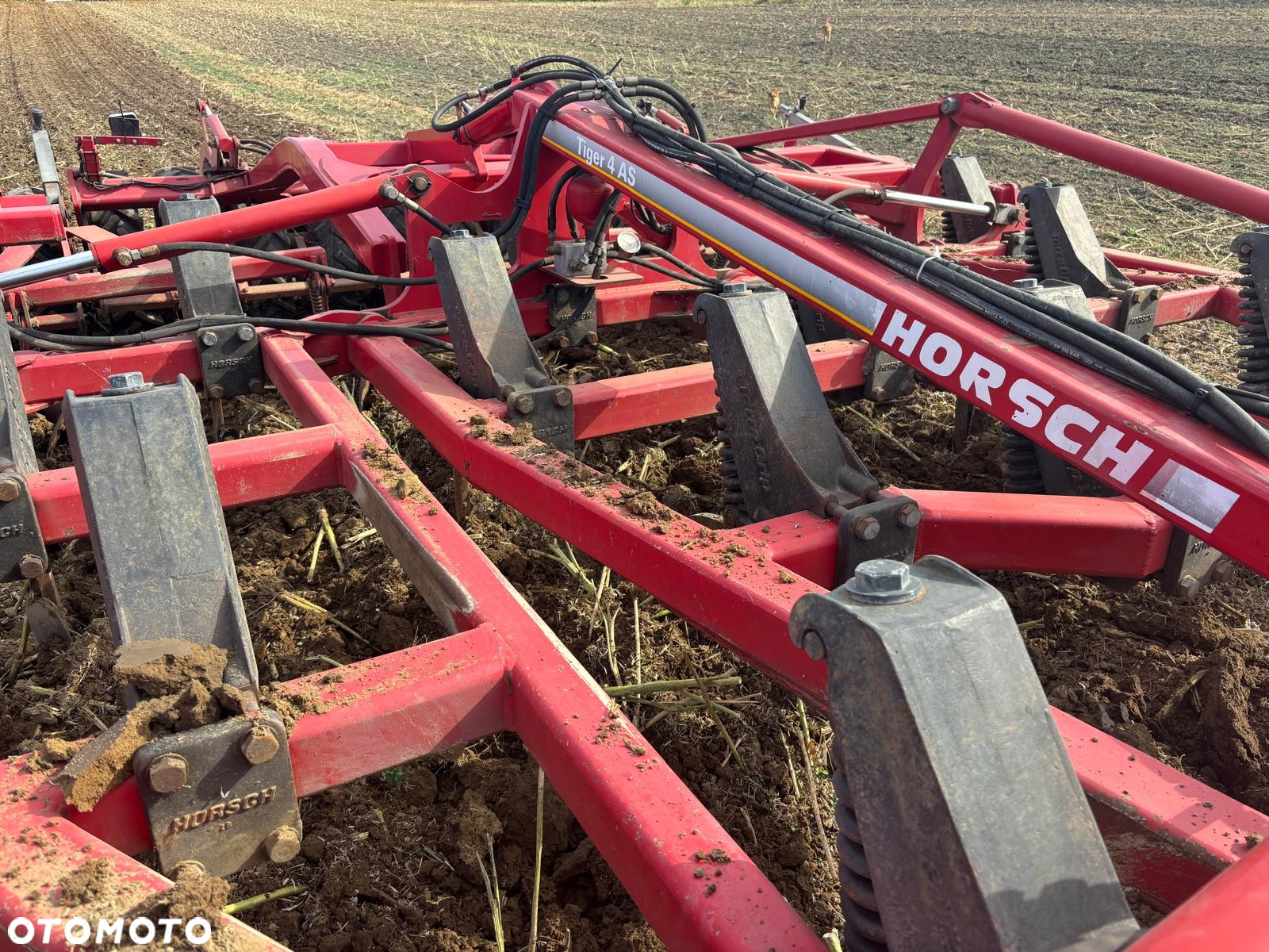 Horsch Tiger 4 as agregat ścierniskowy bezorkowy gruber - 9