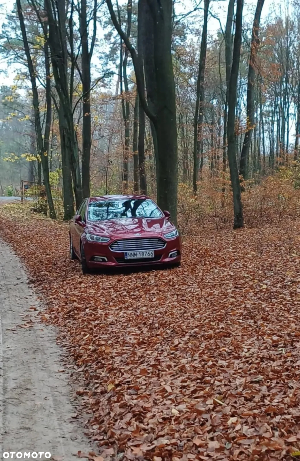 Ford Mondeo - 11