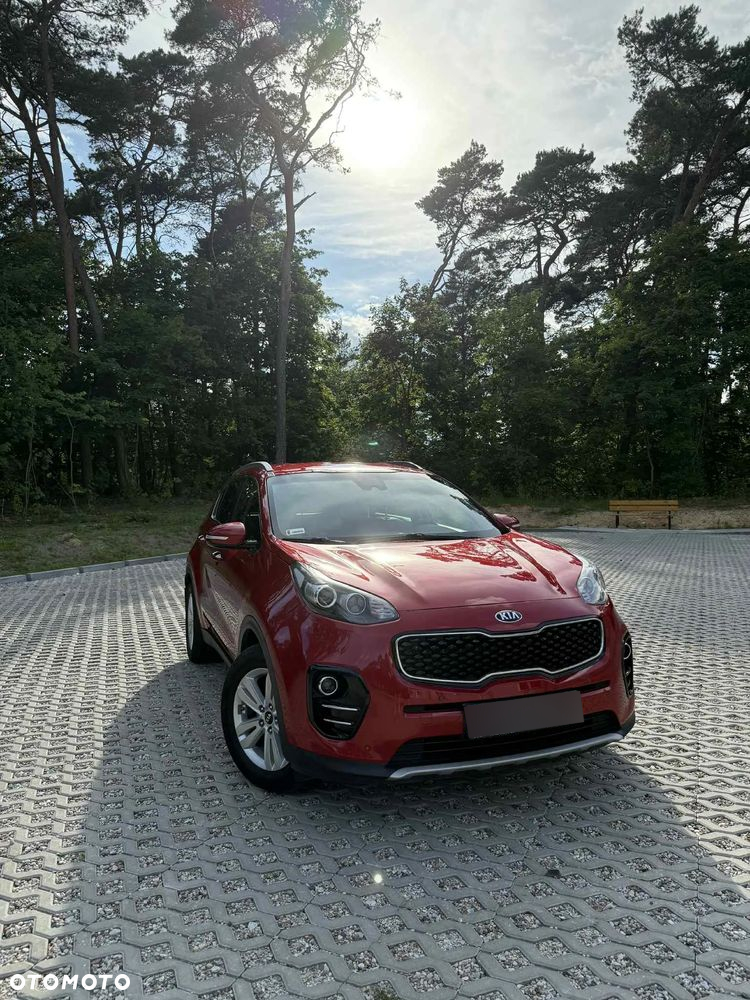Kia Sportage 1.6 T-GDI Business Line 4WD DCT - 10