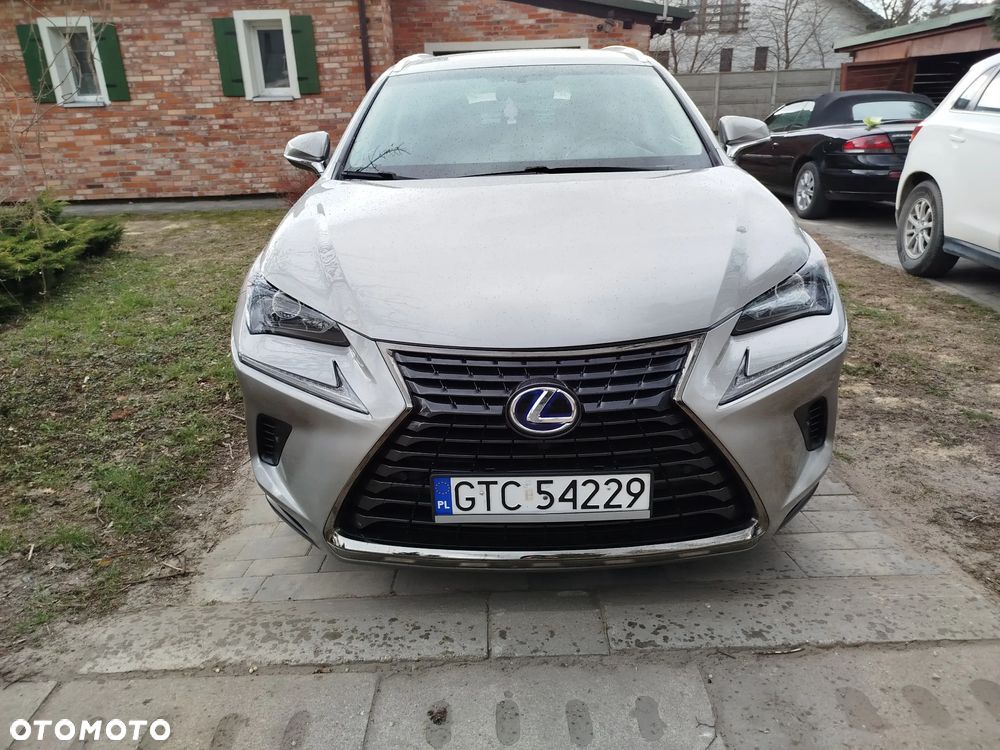 Lexus NX 300h Elegance 2WD - 4