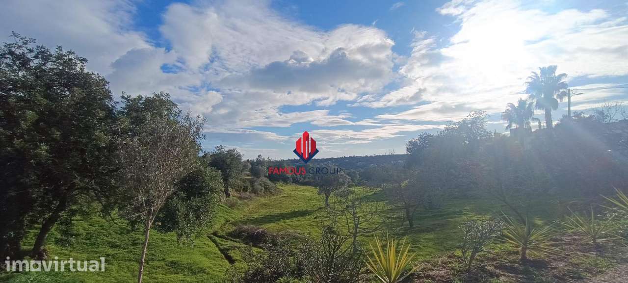 Terreno Rustico Alcantarilha com 2240m2 - Grande imagem: 3/8