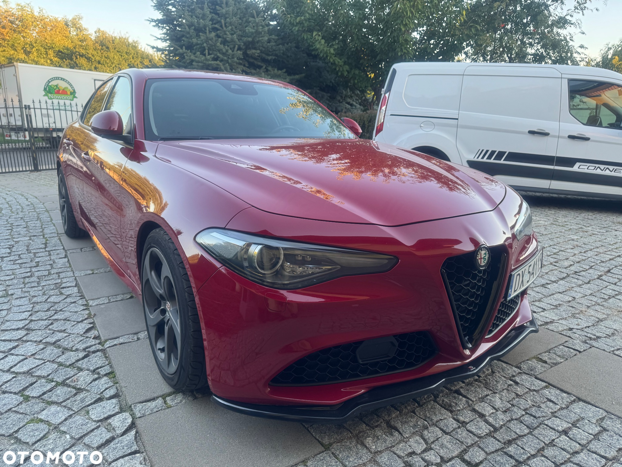 Alfa Romeo Giulia 2.0 Turbo - 2