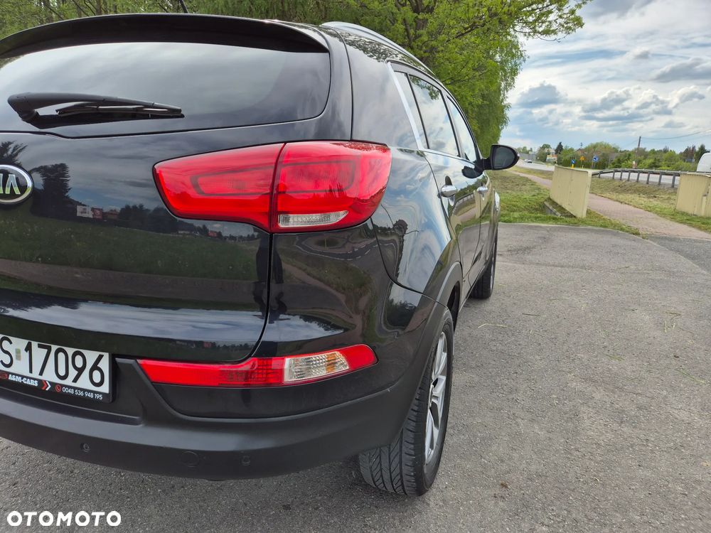 Kia Sportage 1.6 GDI Business Line M 2WD - 20