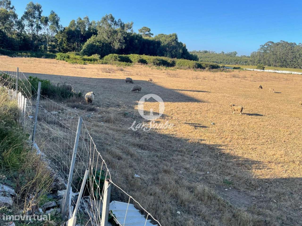 Terreno Agrícola com 24.404 m² em Árvore, Vila do Conde - Grande imagem: 3/16