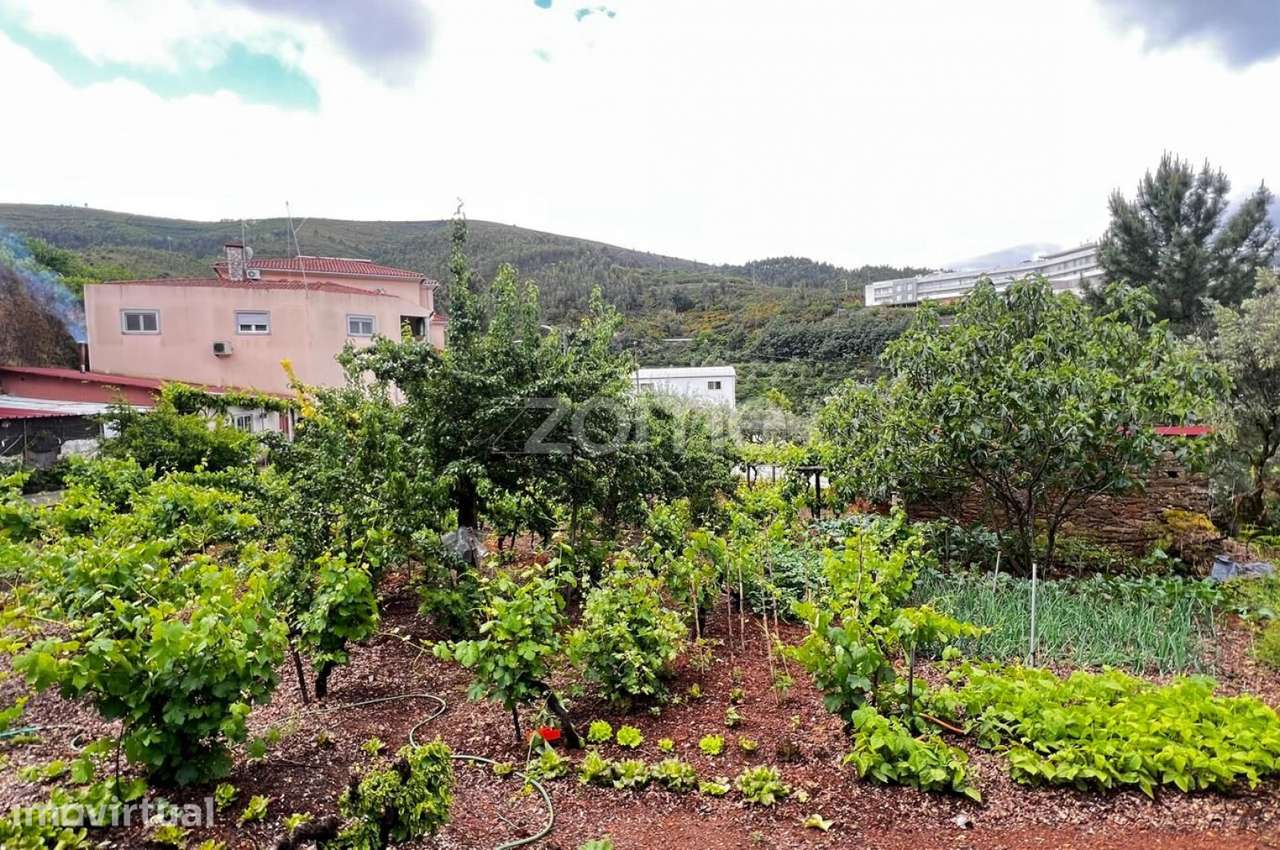 Terrenos Urbanizáveis com 680 e 1.630 m2 - Pampilhosa da Serra - Grande imagem: 3/19