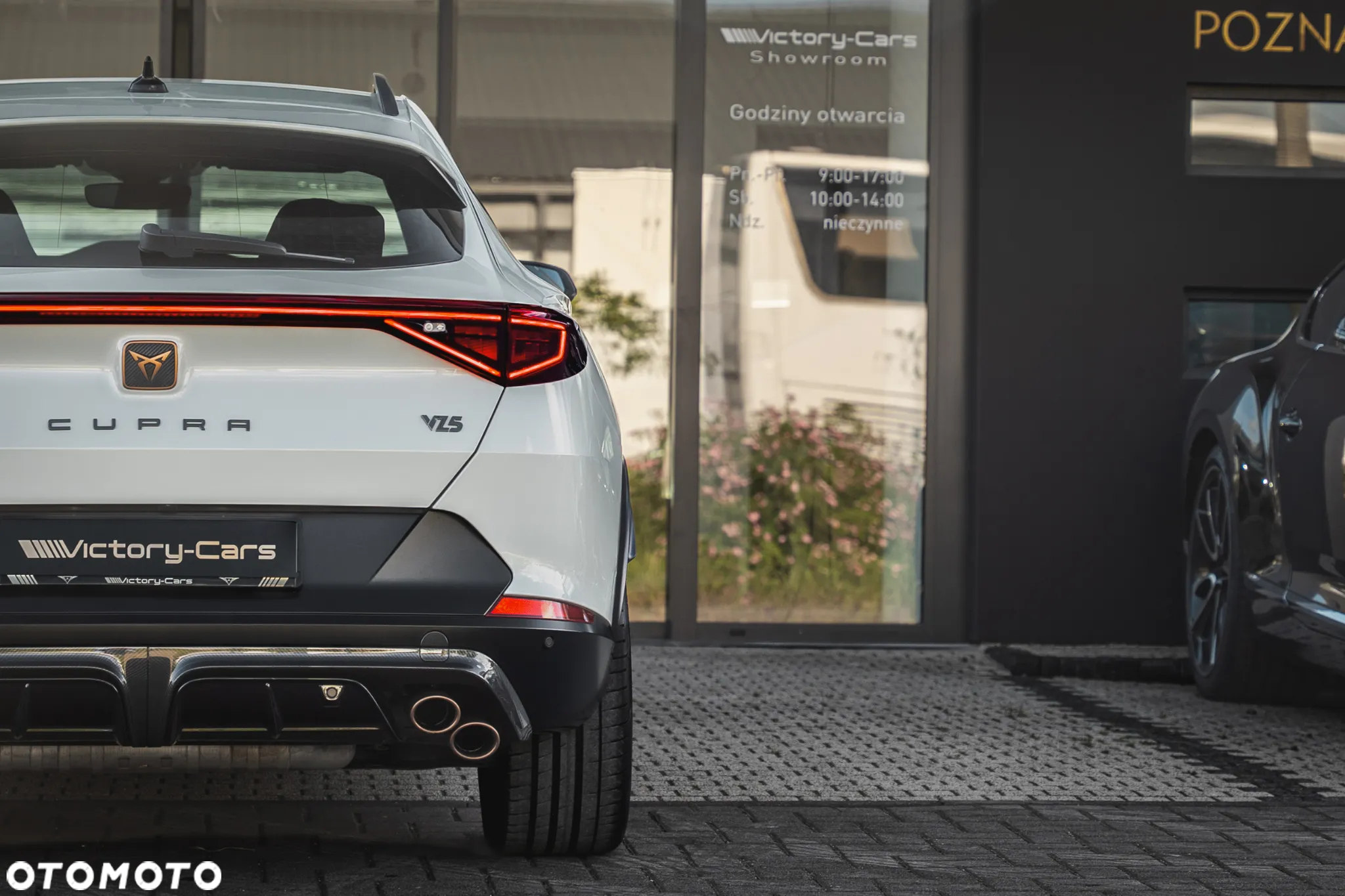 Cupra Formentor 2.5 TSI 4Drive VZ5 Taiga Grey DSG - 17