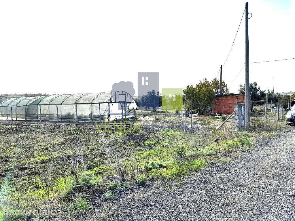 Terreno Rústico | Beringel | Beja - Grande imagem: 5/16
