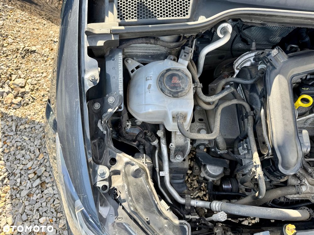 Seat Ibiza - 29