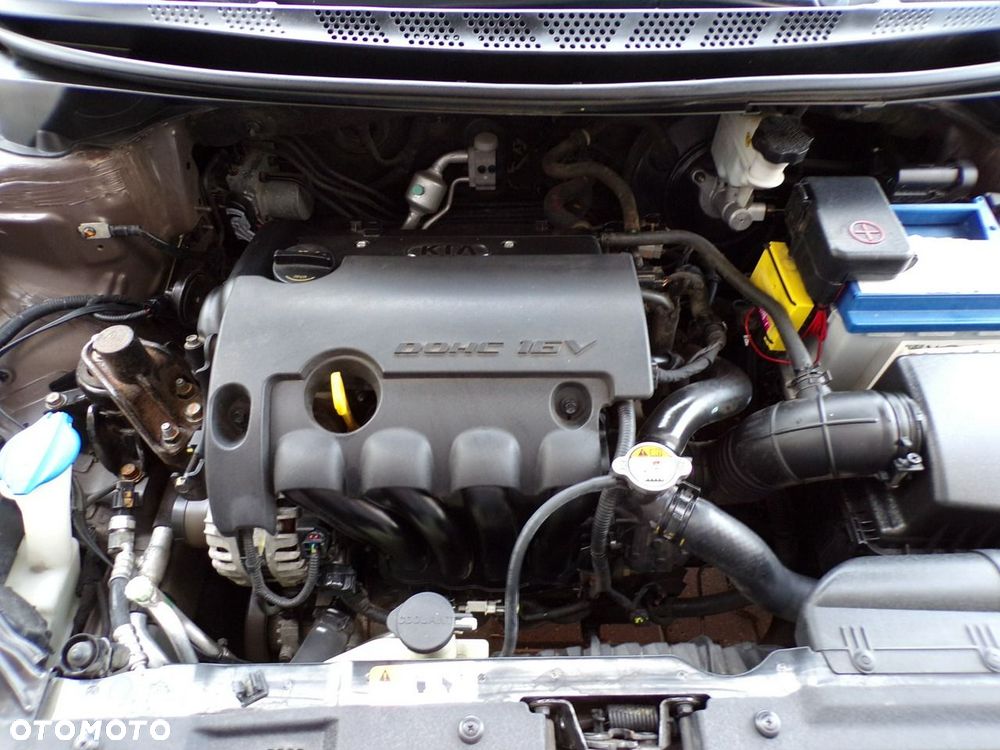 Kia Ceed - 32