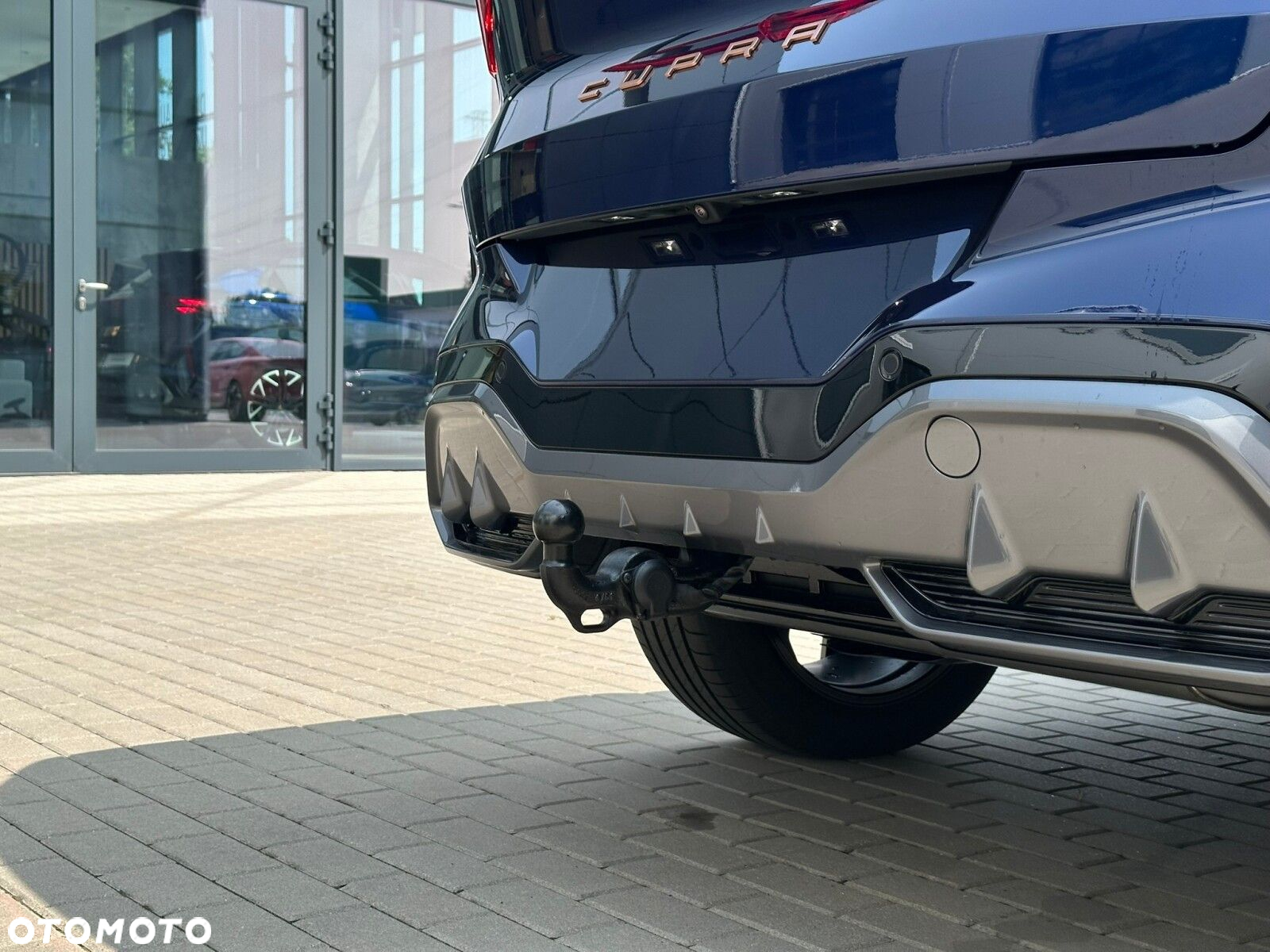 Cupra Terramar - 10