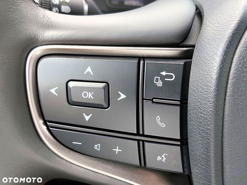 Lexus UX 250h GPF F Sport Design 2WD - 19