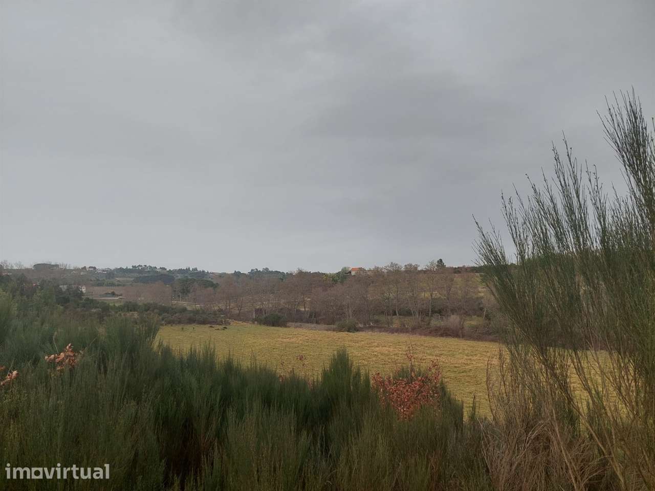 Quinta  Venda em Rio Torto e Lagarinhos,Gouveia - Grande imagem: 5/12