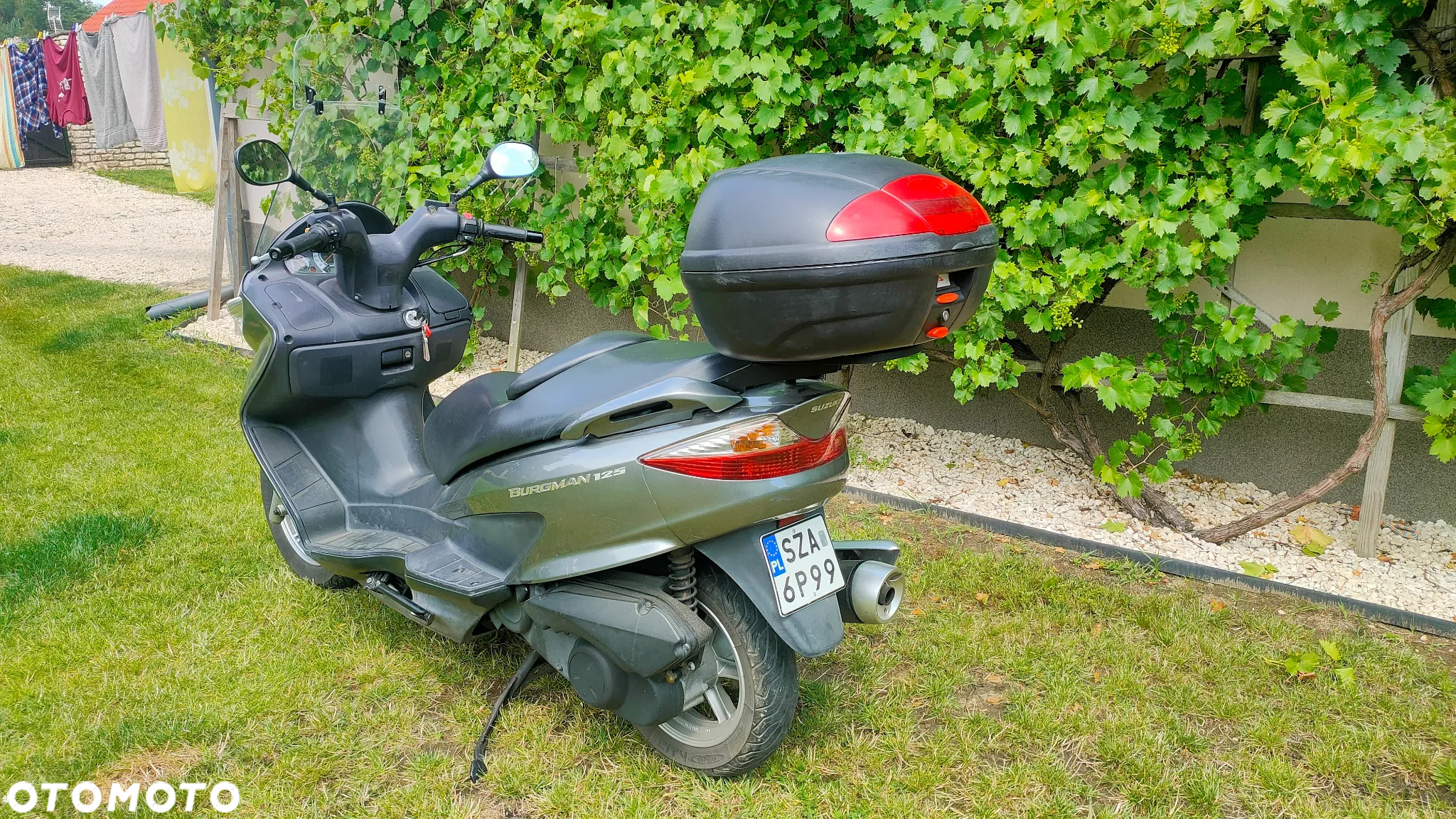 Suzuki Burgman - 3