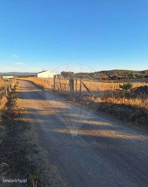 Vendo Terreno Rústico no Alentejo ( Serpa - Beja) - Grande imagem: 4/12