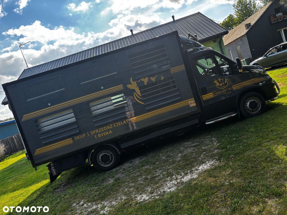 Iveco Daily - 8