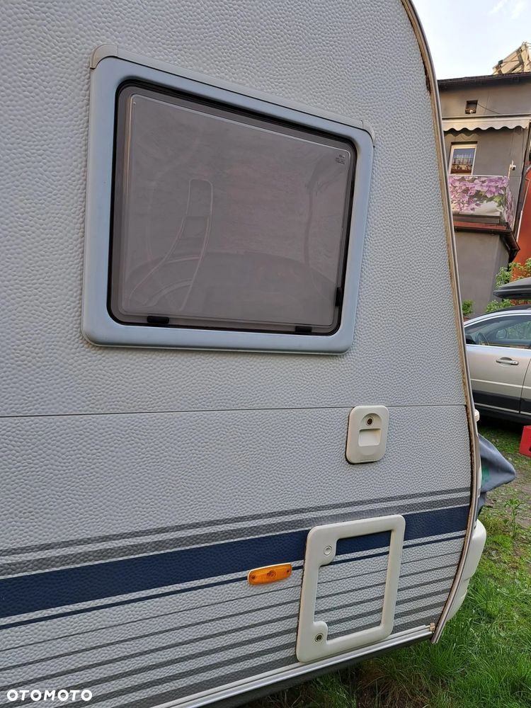 Wilk SPORT 490 - 16