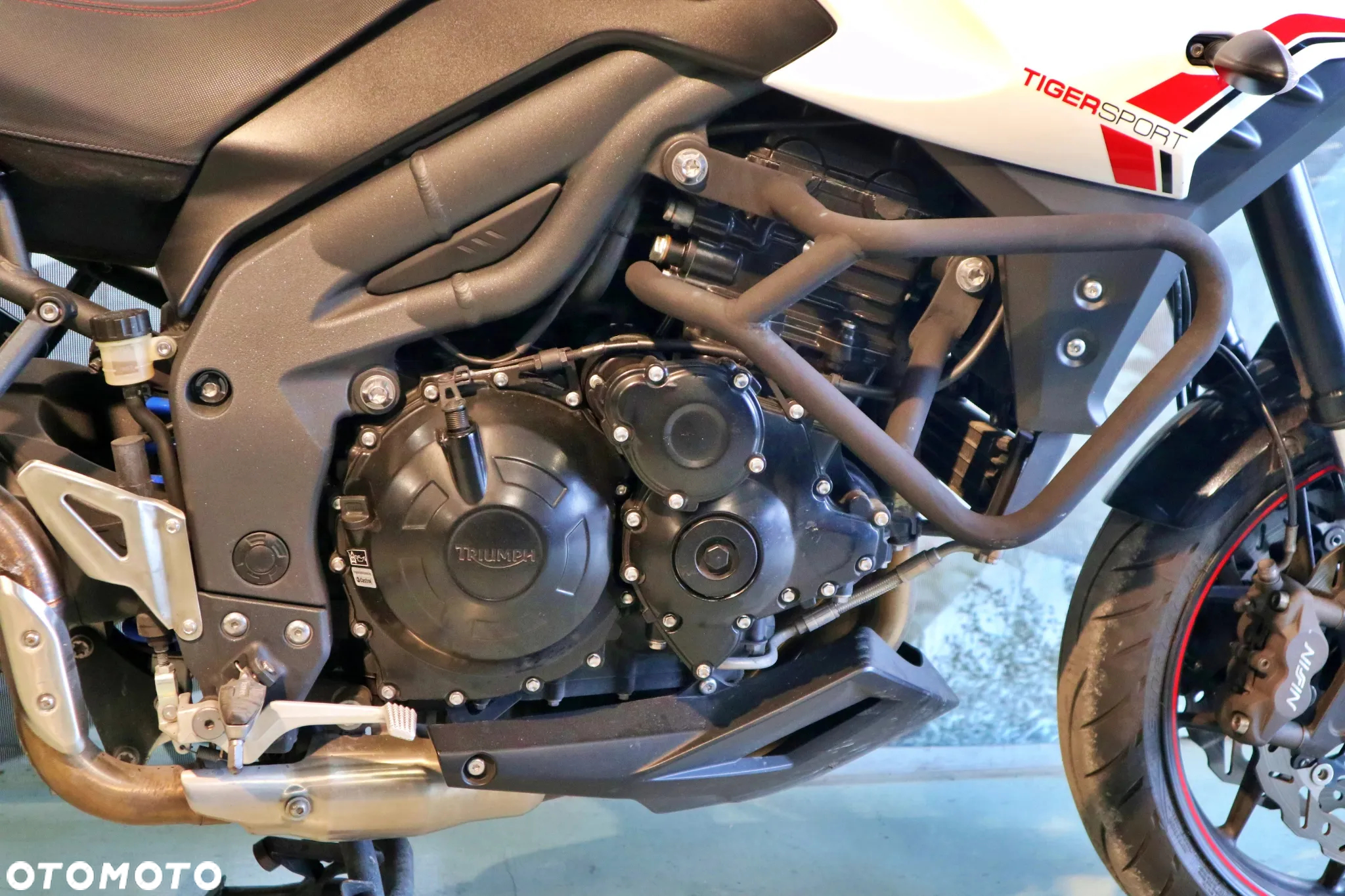 Triumph Tiger - 16