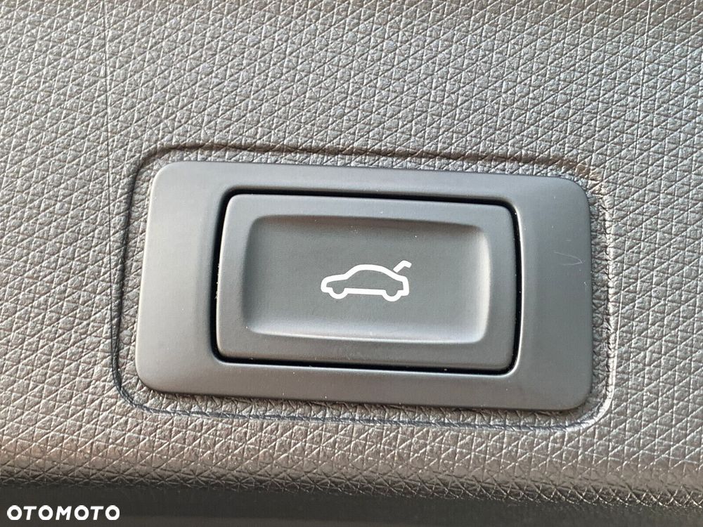 Cupra Terramar - 34