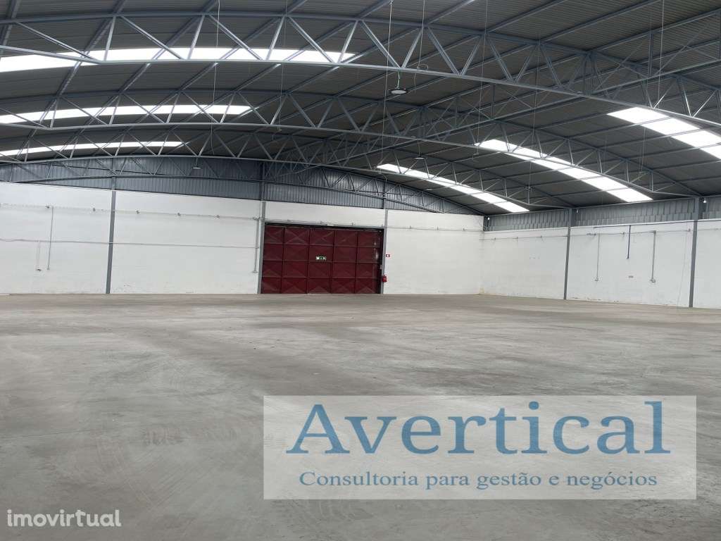 Último Armazém - Z. Ind Feiteira - Grande imagem: 4/10