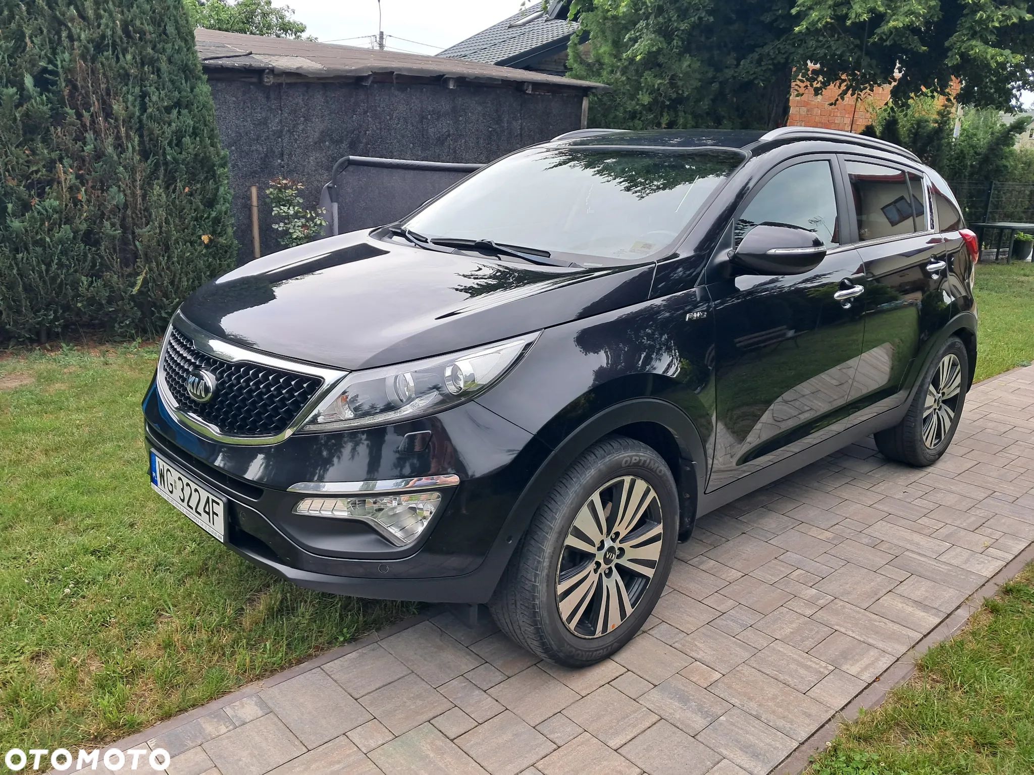 Kia Sportage - 1