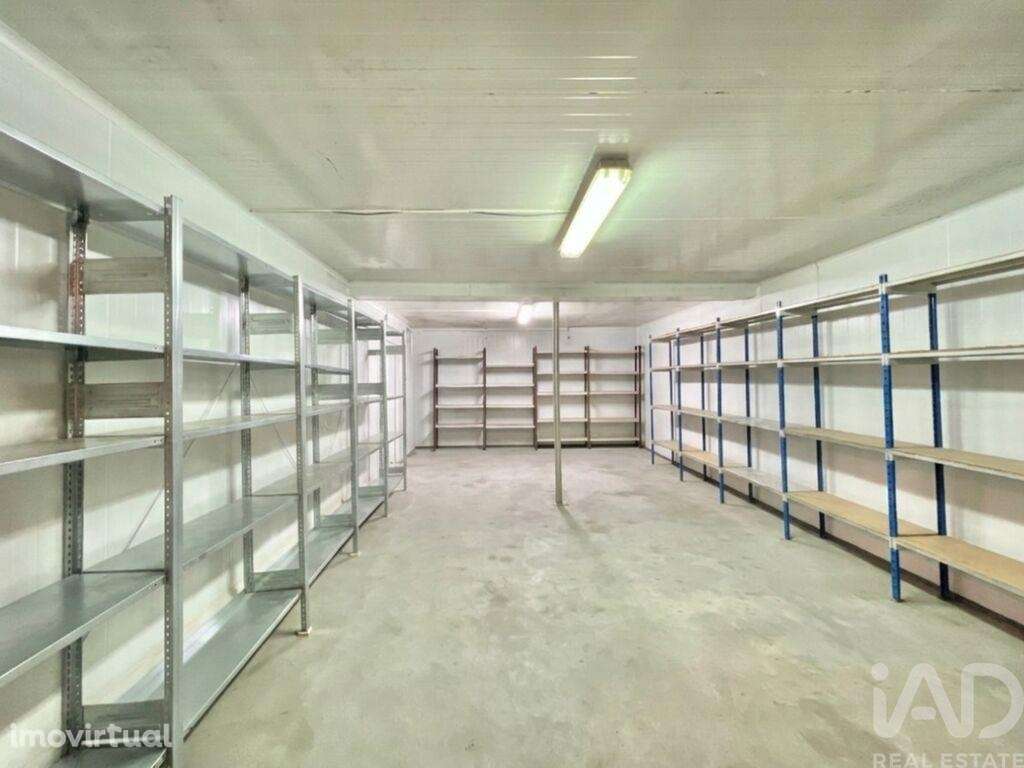 Loja / Estabelecimento Comercial em Campo de Besteiros de 317,00 m2 - Grande imagem: 5/30