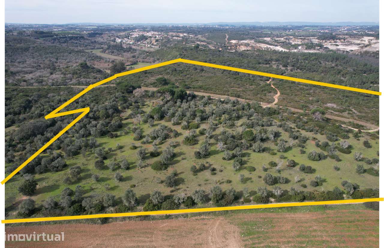 Terreno Para Construção  Venda em Almoster,Santarém - Grande imagem: 4/4