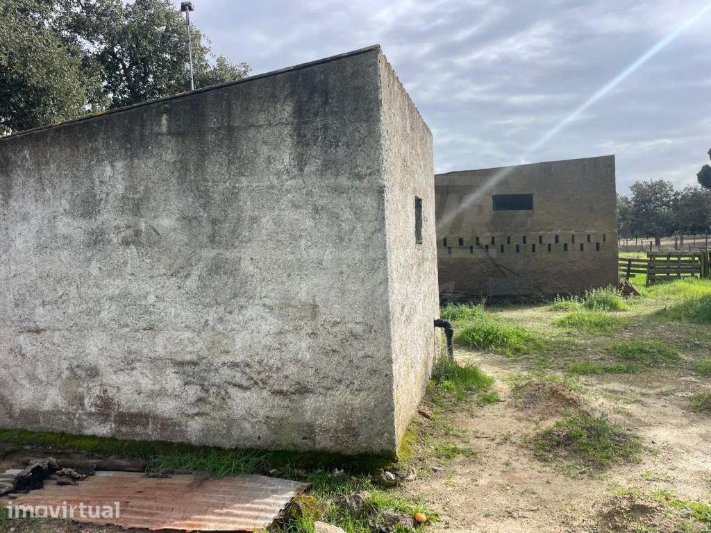 Propriedade Rústica com 11 Hectares junto a Canhestros - Grande imagem: 2/35