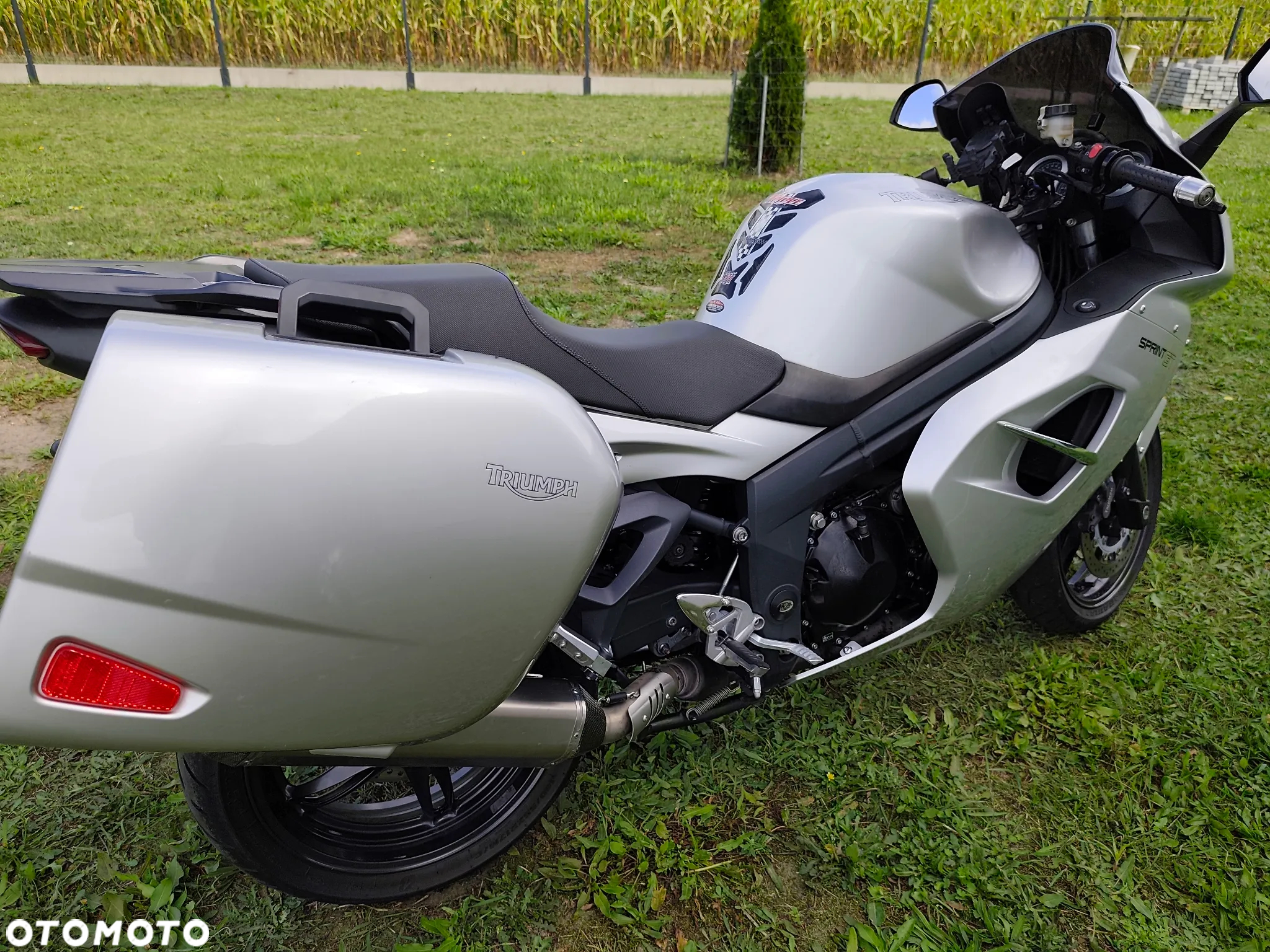 Triumph Sprint - 3