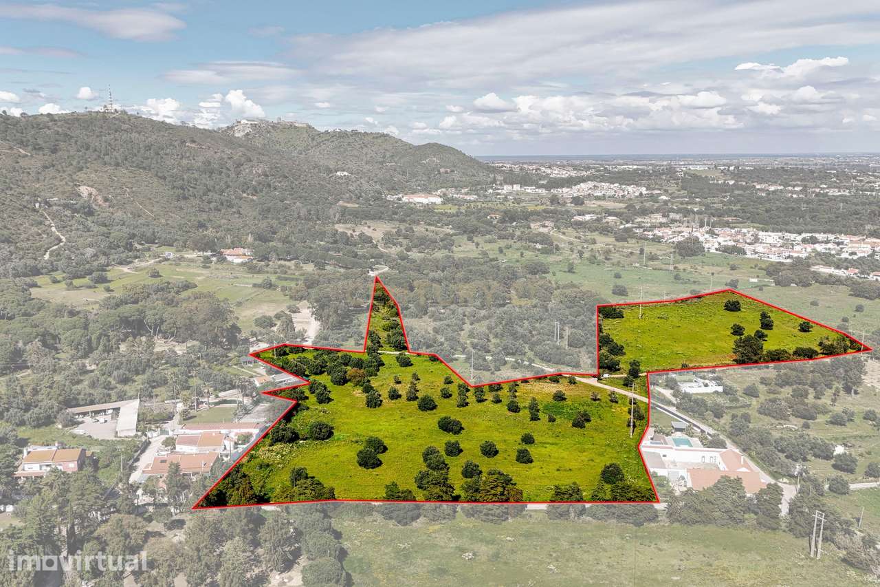 Terreno - Olival dos Freires ,Baixa de São Paulo, - Grande imagem: 3/13