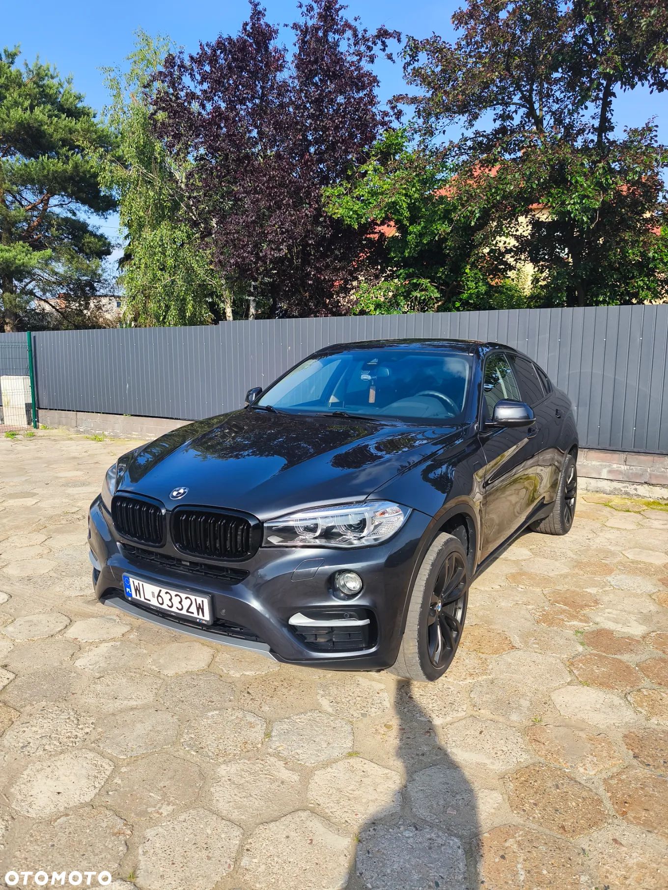 BMW X6 xDrive30d - 1