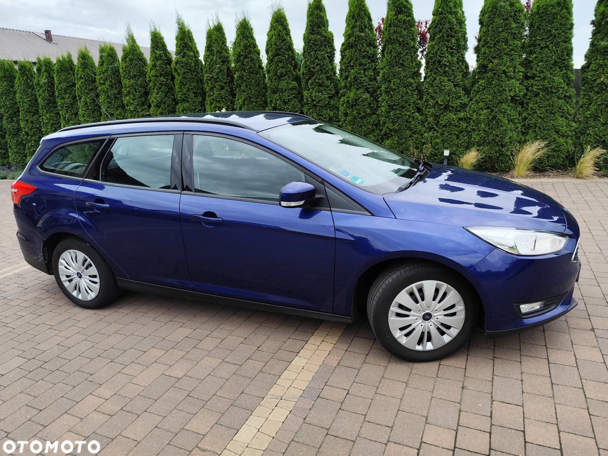 Ford Focus 1.6 Gold X (Trend) - 9