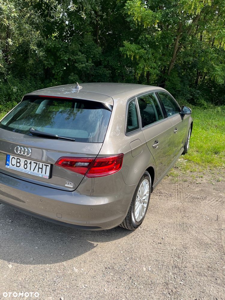 Audi A3 ver-1-6-tdi-ultra-attraction - 14