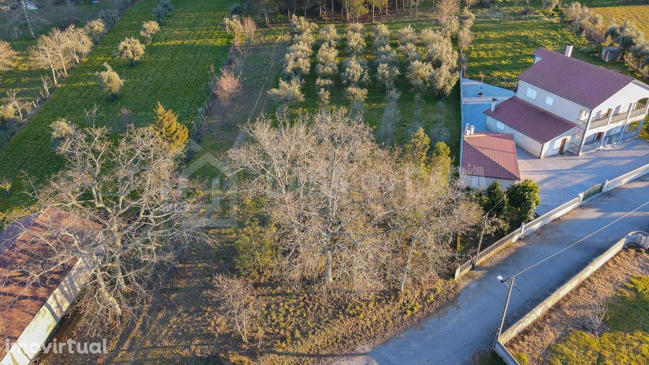 Terreno para construção em Cepões - Grande imagem: 3/9