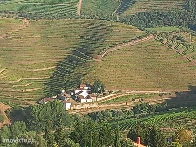 Vende-se Quinta no Douro - Grande imagem: 2/5
