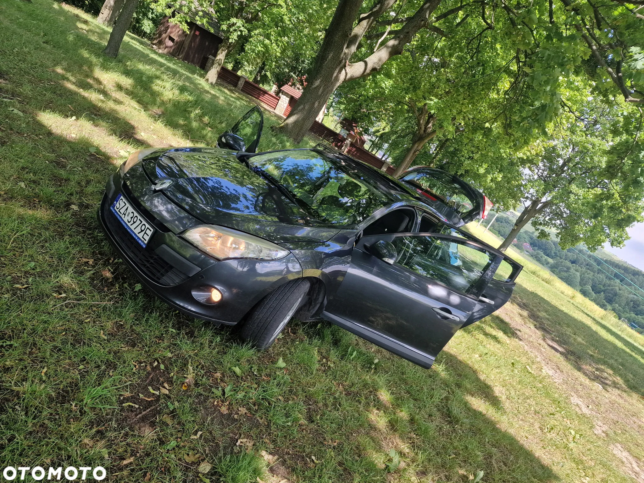Renault Megane - 19