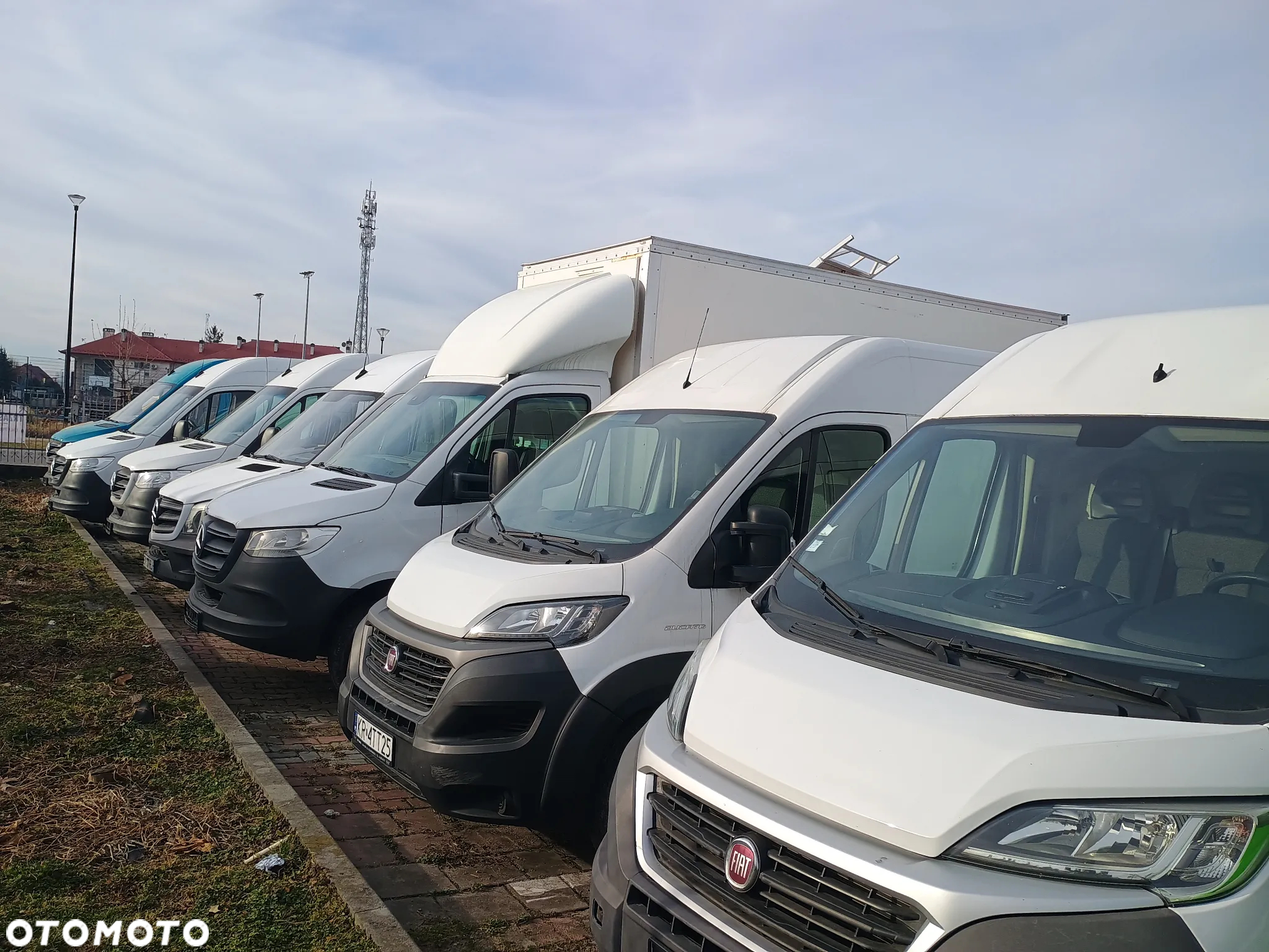 Mercedes-Benz Sprinter 514CDI KONTENER  DMC 3,5 Tony - 15