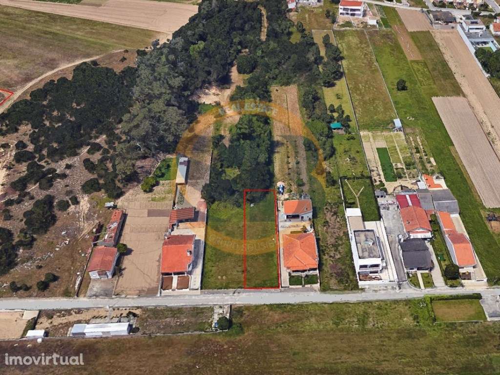 Terreno Construção Torrão do Lameiro Ovar - Grande imagem: 4/4